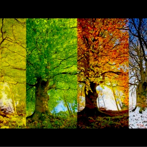 Meet your Posher, Doreen - Picture 1 of 1